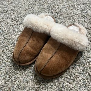 Uggs slippers - Scuffette II
